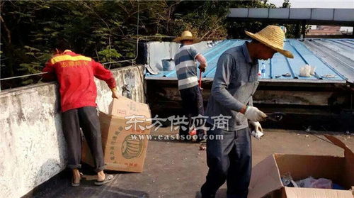 廠房補漏與管道疏通指南 如何選擇合適的服務商